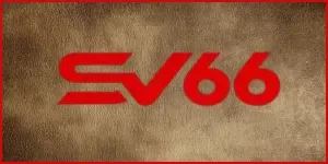 SV66